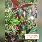 Automne Tropical 2023