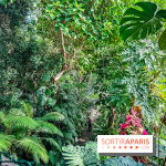 Automne Tropical 2023