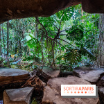 Automne Tropical 2023