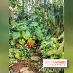 Automne Tropical 2023