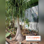 Automne Tropical 2023