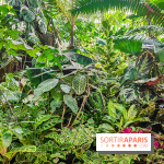 Automne Tropical 2023