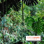 Automne Tropical 2023