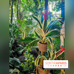 Automne Tropical 2023