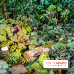 Automne Tropical 2023