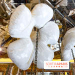 Les Fleurs du Mal, l'exposition gratuite sur les fleurs à la Maison Guerlain - Champs-Élysées - image00001