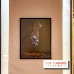 Les Fleurs du Mal, l'exposition gratuite sur les fleurs à la Maison Guerlain - Champs-Élysées