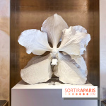 Les Fleurs du Mal, l'exposition gratuite sur les fleurs à la Maison Guerlain - Champs-Élysées - image00068