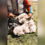 Un pop up store qui vous fait découvrir la magie péruvienne pendant la période de Noël -  S7A2550