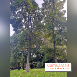 Le parc Montsouris - nos photos - image00004