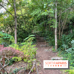 Le parc de l'Île Verte à Chatenay-Malabry - nos photos - image00565