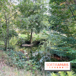 Le parc de l'Île Verte à Chatenay-Malabry - nos photos - image00545