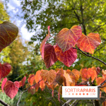 Le parc de l'Île Verte à Chatenay-Malabry - nos photos - image00547