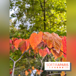 Le parc de l'Île Verte à Chatenay-Malabry - nos photos - image00549