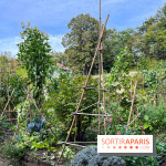 Le parc de l'Île Verte à Chatenay-Malabry - nos photos - image00539