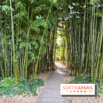 Le parc de l'Île Verte à Chatenay-Malabry - nos photos - image00542