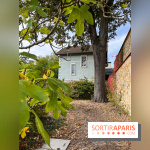 Le parc de l'Île Verte à Chatenay-Malabry - nos photos - image00533