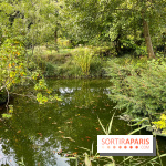Le parc de l'Île Verte à Chatenay-Malabry - nos photos - image00517