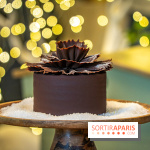 Bûches de Noël 2023 et galette 2024 de Lenôtre  - A7C0861