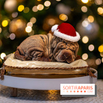 Bûche de Noël du Lutetia 2023 et galette des rois 2024 par Nicolas Guercio  - A7C0670