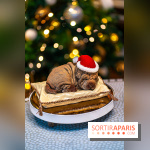 Bûche de Noël du Lutetia 2023 et galette des rois 2024 par Nicolas Guercio  - A7C0673