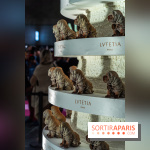 Salon du Chocolat de Paris 2023 - les photos