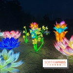 Thoiry Lumières Sauvages 2023 - 2024 - IMG 6285