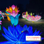 Thoiry Lumières Sauvages 2023 - 2024 - IMG 6288