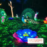 Thoiry Lumières Sauvages 2023 - 2024 - IMG 6293