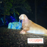 Thoiry Lumières Sauvages 2023 - 2024 - IMG 6307