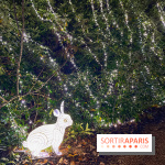 Thoiry Lumières Sauvages 2023 - 2024 - IMG 6312