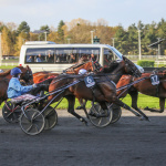 Les dimaches plaisir à Paris-Vincennes : les sorties gratuites pendant l'hiver - BV 20231119161654BV2 0714