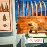 Le Musée de la Marine à Paris et ses collections permanentes