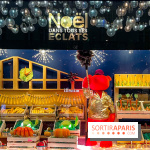 Les vitrines et décors de Noël 2023 du Bon Marché Rive Gauche