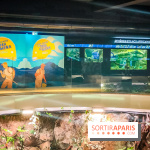 Enquête à Madagascar : nos photos de l'exposition immersive ultra ludique de l'Aquarium tropical - IMG20231113105545