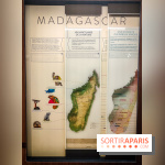 Enquête à Madagascar : nos photos de l'exposition immersive ultra ludique de l'Aquarium tropical