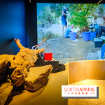 Enquête à Madagascar : nos photos de l'exposition immersive ultra ludique de l'Aquarium tropical - IMG20231113102940