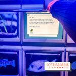 Enquête à Madagascar : nos photos de l'exposition immersive ultra ludique de l'Aquarium tropical - IMG20231113102407