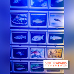 Enquête à Madagascar : nos photos de l'exposition immersive ultra ludique de l'Aquarium tropical