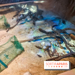 Enquête à Madagascar : nos photos de l'exposition immersive ultra ludique de l'Aquarium tropical - IMG20231113102953