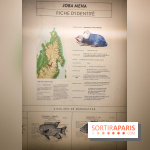 Enquête à Madagascar : nos photos de l'exposition immersive ultra ludique de l'Aquarium tropical - IMG20231113103823