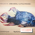 Enquête à Madagascar : nos photos de l'exposition immersive ultra ludique de l'Aquarium tropical - IMG20231113103834