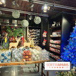 Un Noël Magique à So Ouest - IMG 8338