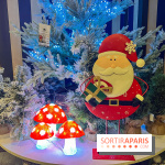 Un Noël Magique à So Ouest - IMG 8355