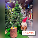 Un Noël Magique à So Ouest - IMG 8356