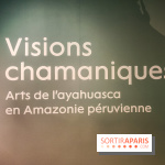 Visions chamaniques : l'exposition du musée du Quai Branly qui nous transporte en Amazonie