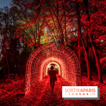 Lumières en Seine au Parc de Saint-Cloud 2023, le parcours de lumières -  A7C7452