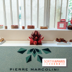 Bûches et chocolats de Noël 2023 de Pierre Marcolini, nos photos - 20230907 114153