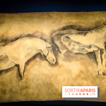 Préhistomania au Musée de l'Homme : l'exposition événement autour de l'art rupestre - nos photos - IMG20231115100033