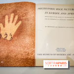 Préhistomania au Musée de l'Homme : l'exposition événement autour de l'art rupestre - nos photos - IMG20231115102949